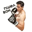 ស្ទីកเกอร์