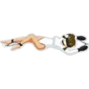 ஸ்டிக்கர்