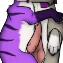 స్టికర్