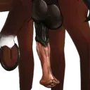 స్టికర్