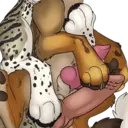 స్టికర్