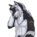 స్టికర్